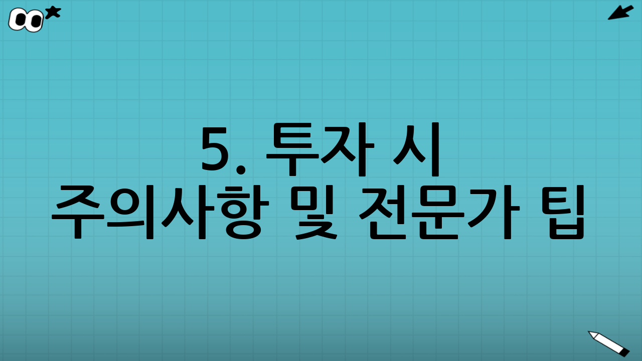 5. 투자 시 주의사항 및 전문가 팁