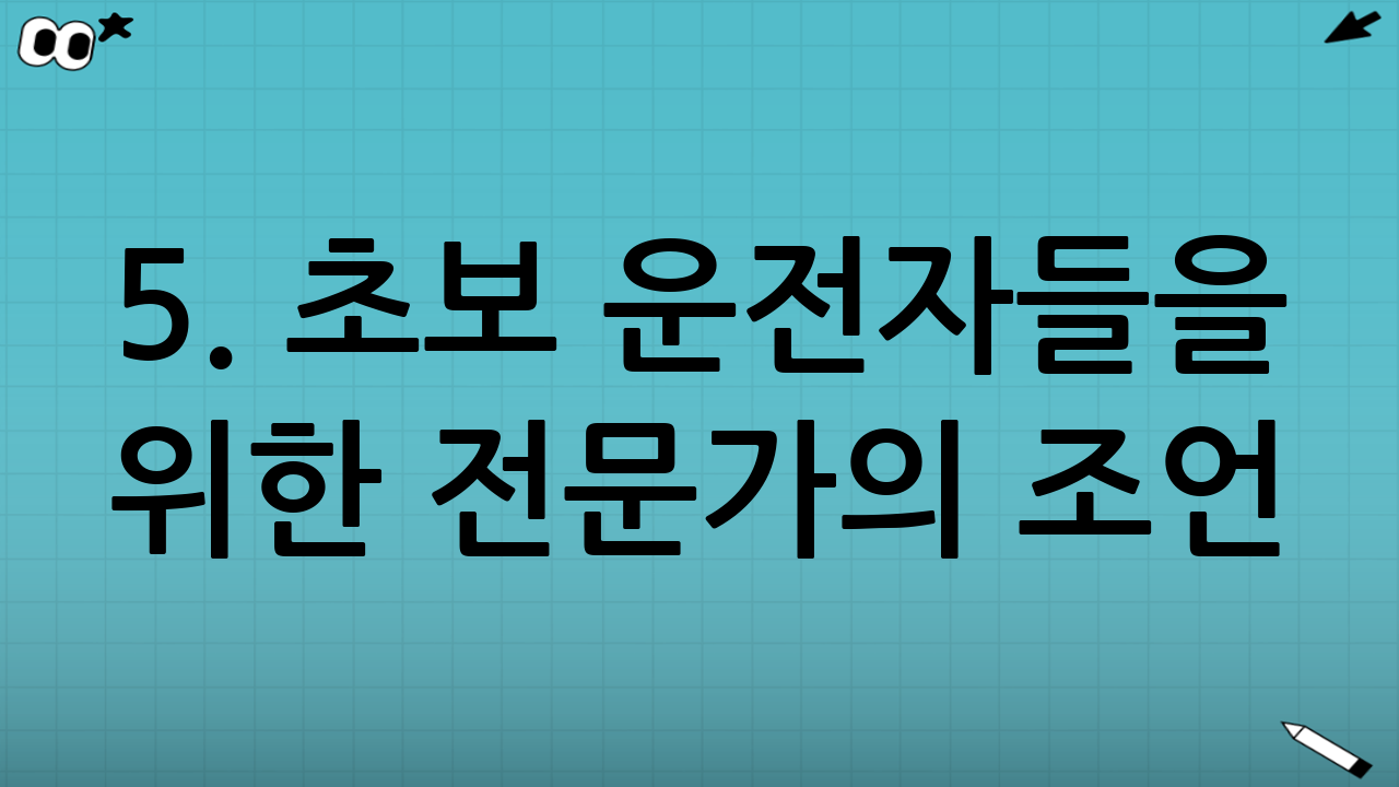 5. 초보 운전자들을 위한 전문가의 조언 (FAQ)