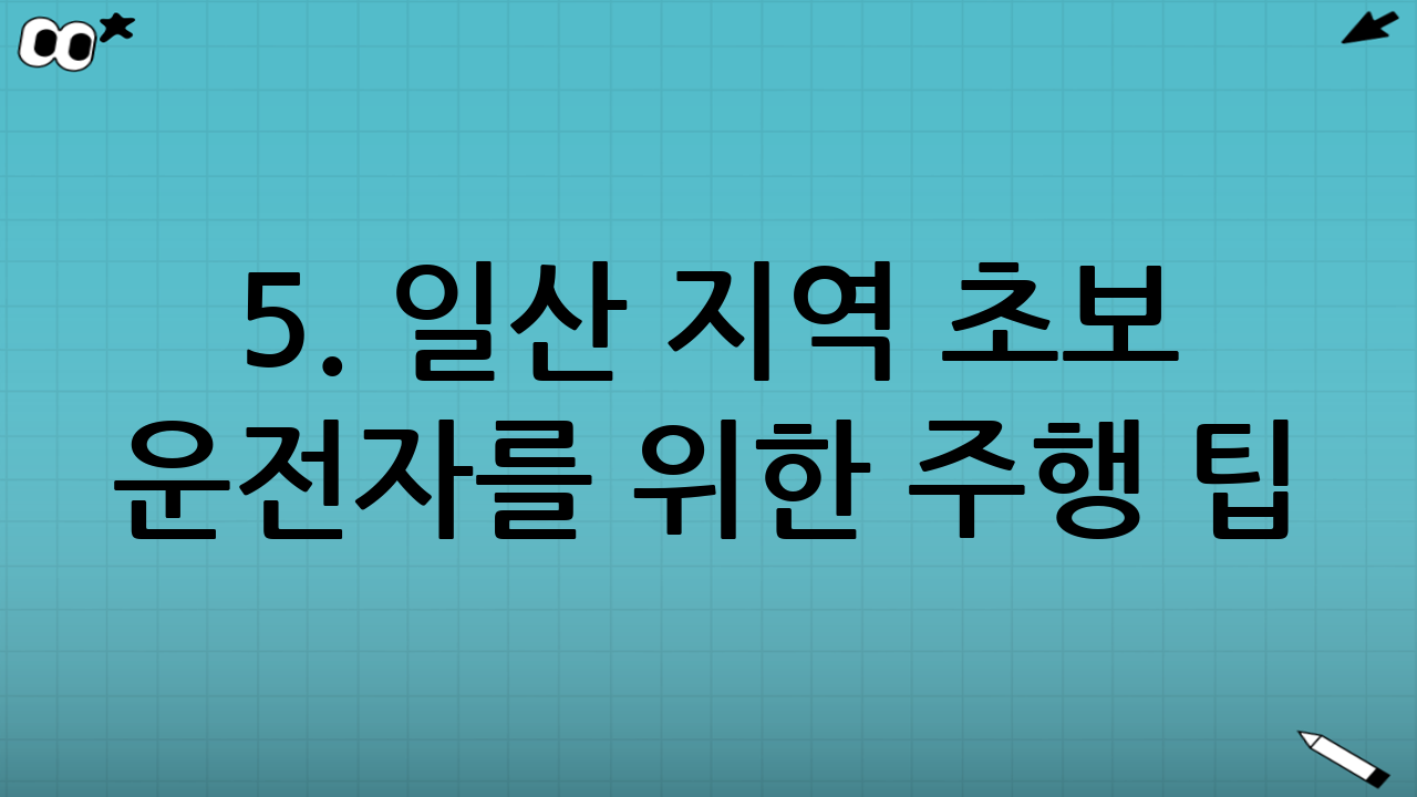 5. 일산 지역 초보 운전자를 위한 주행 팁