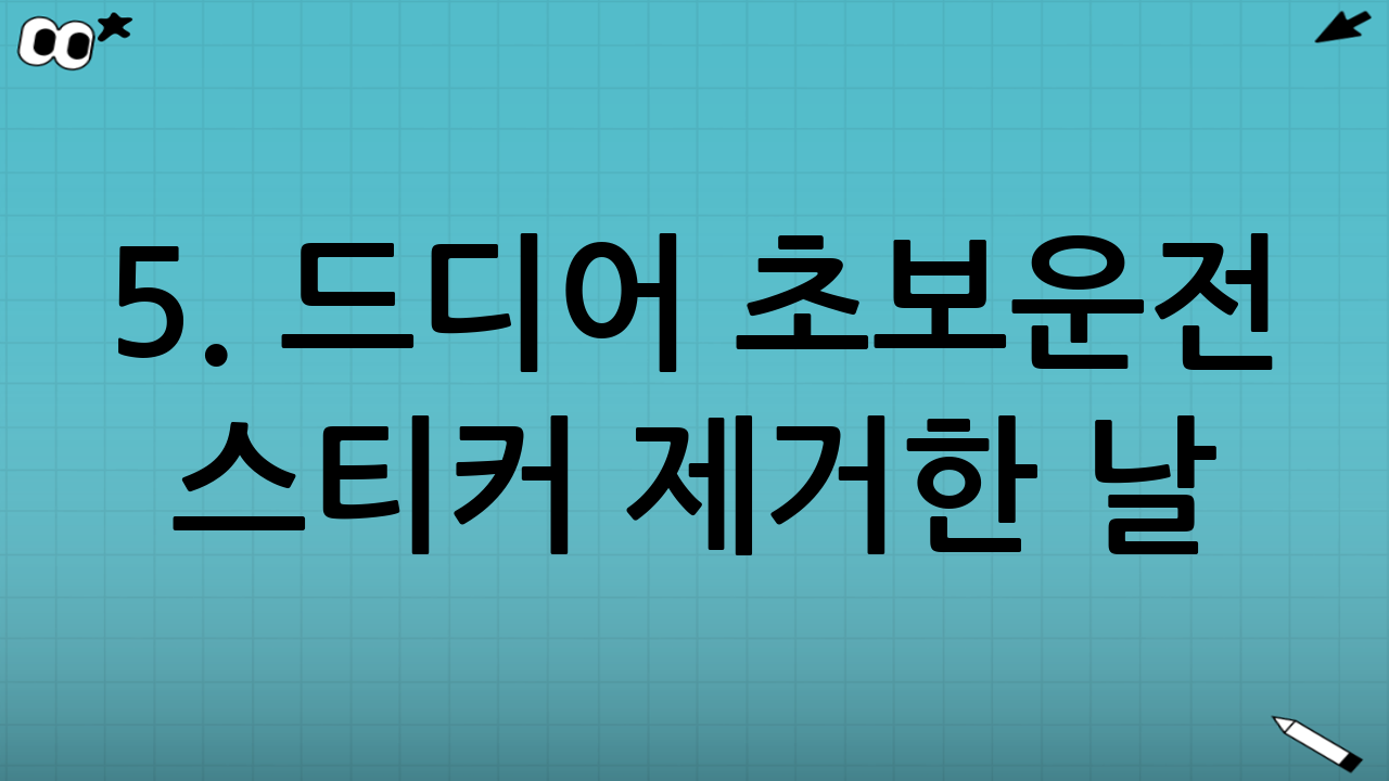 5. 드디어 초보운전 스티커 제거한 날