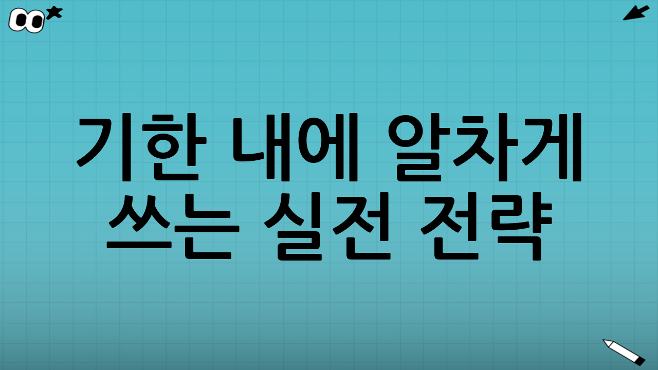 기한 내에 알차게 쓰는 실전 전략