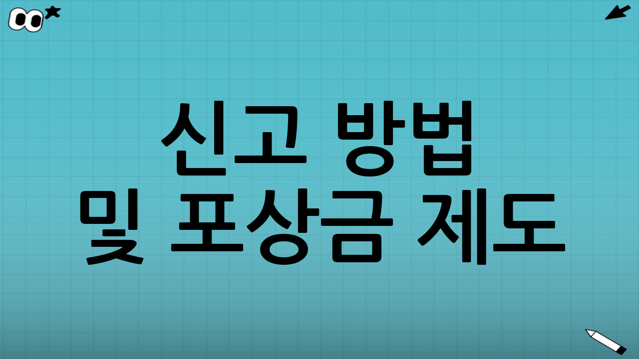 신고 방법 및 포상금 제도