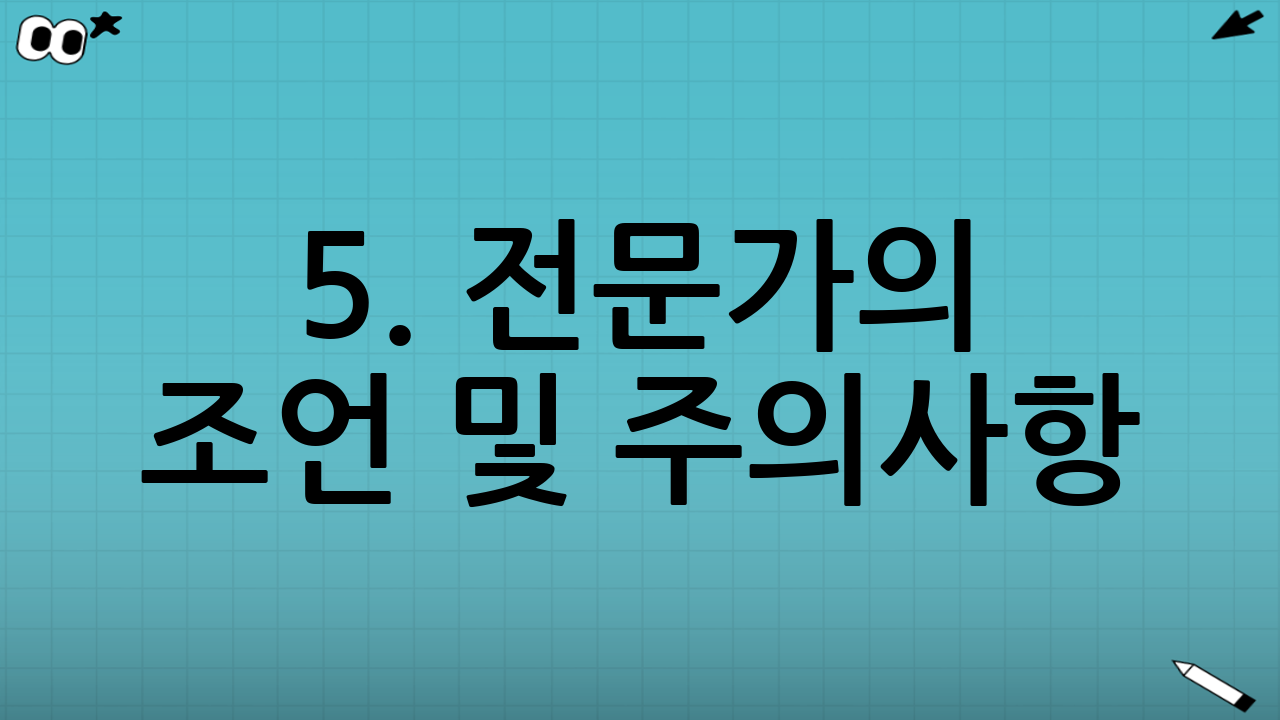 5. 전문가의 조언 및 주의사항