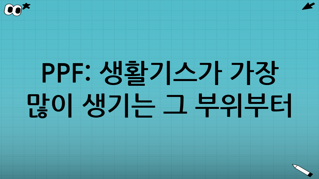 PPF: 생활기스가 가장 많이 생기는 ‘그 부위’부터