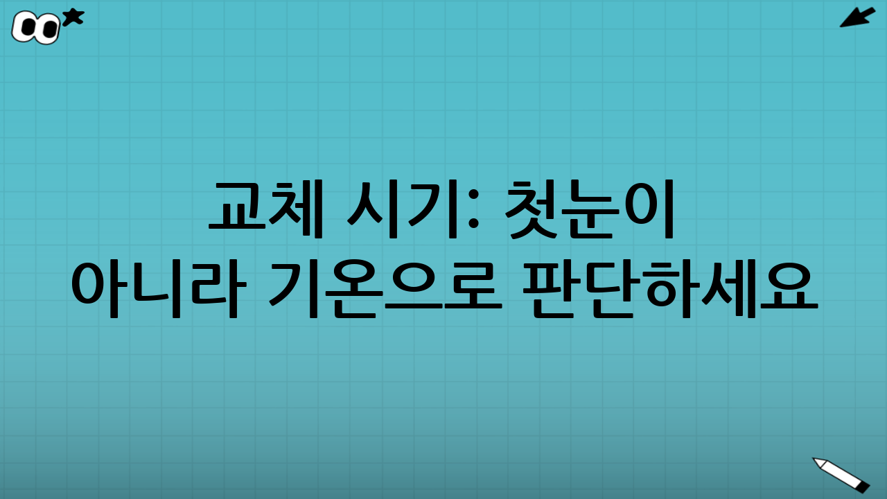 교체 시기: ‘첫눈’이 아니라 ‘기온’으로 판단하세요