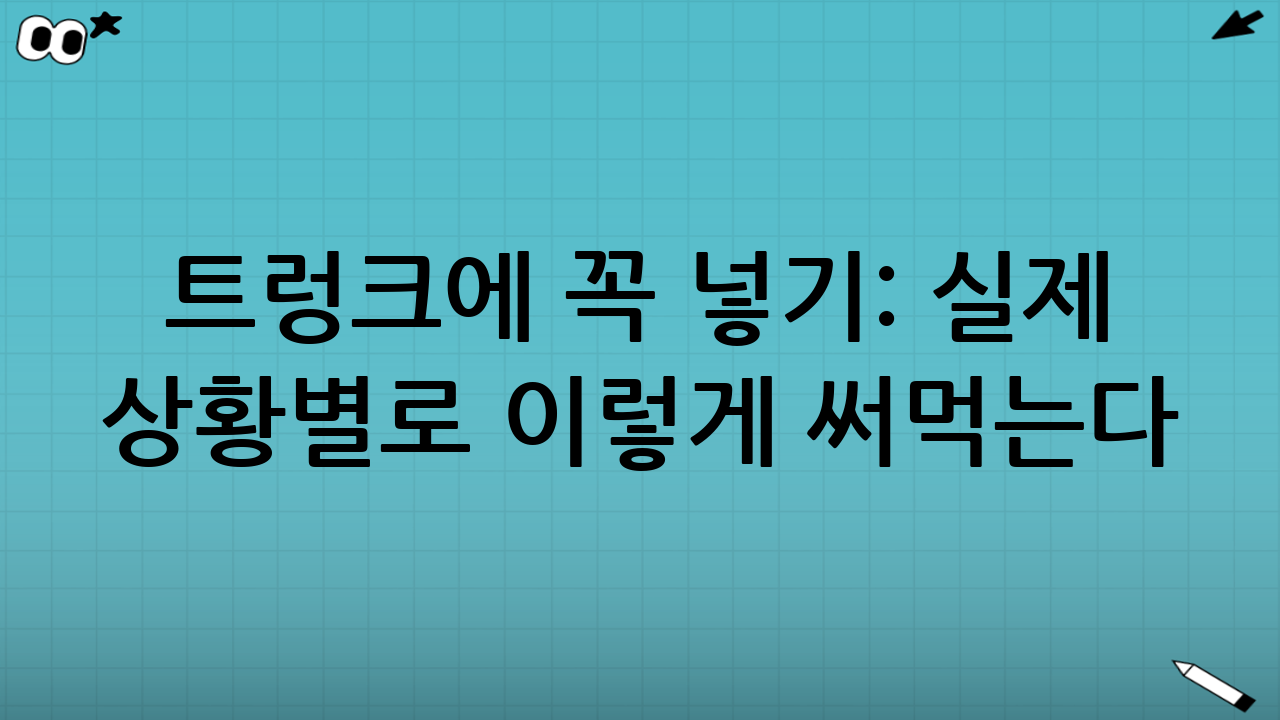 트렁크에 꼭 넣기: 실제 상황별로 이렇게 써먹는다