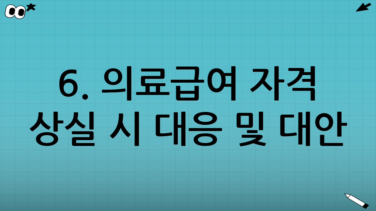 6. 의료급여 자격 상실 시 대응 및 대안