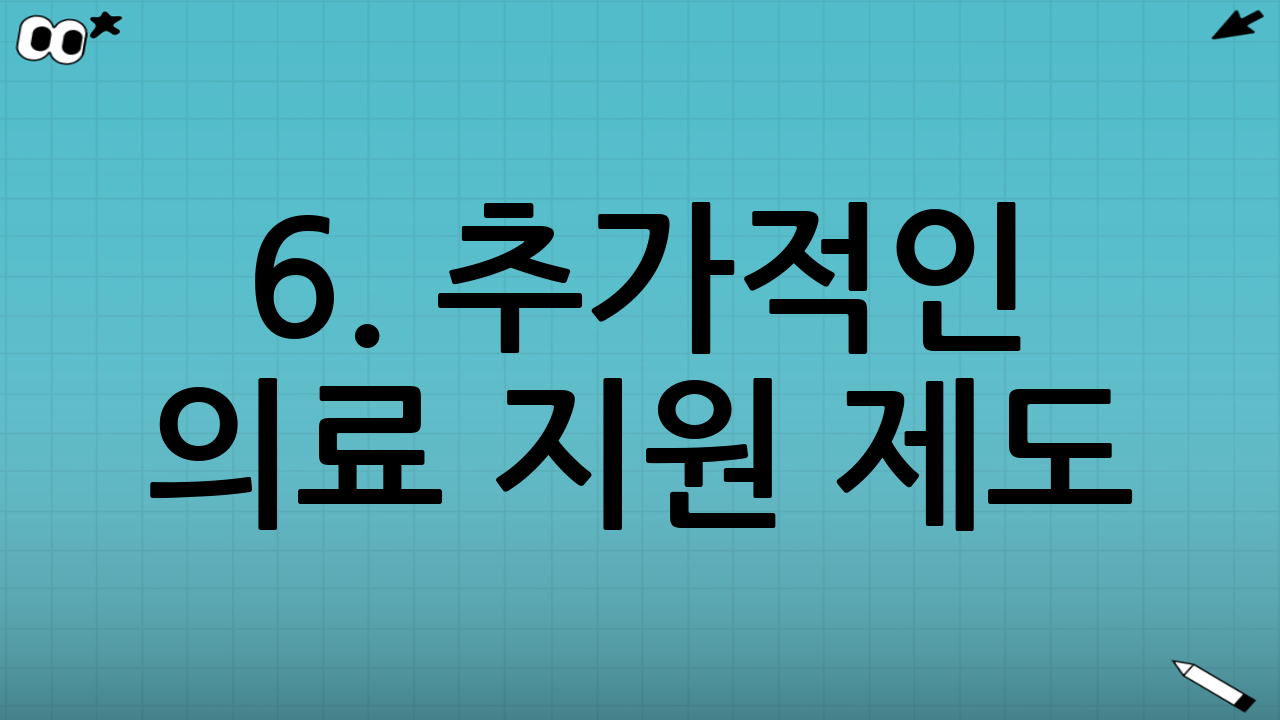 6. 추가적인 의료 지원 제도