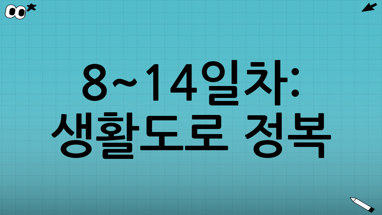 8~14일차: 생활도로 정복(정지·출발·합류를 자연스럽게)