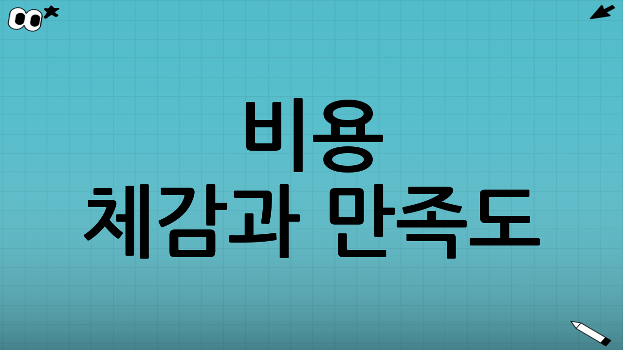 비용 체감과 만족도: ‘결과’로 보면 납득되는 선택