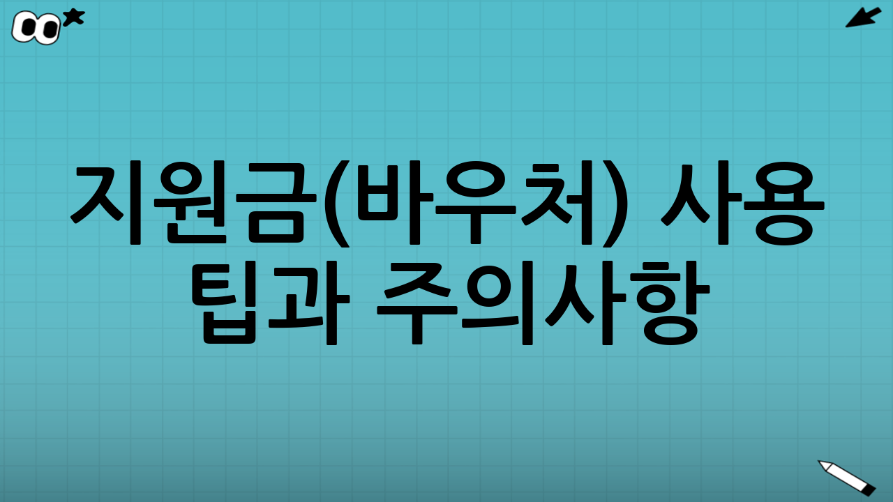 지원금(바우처) 사용 팁과 주의사항