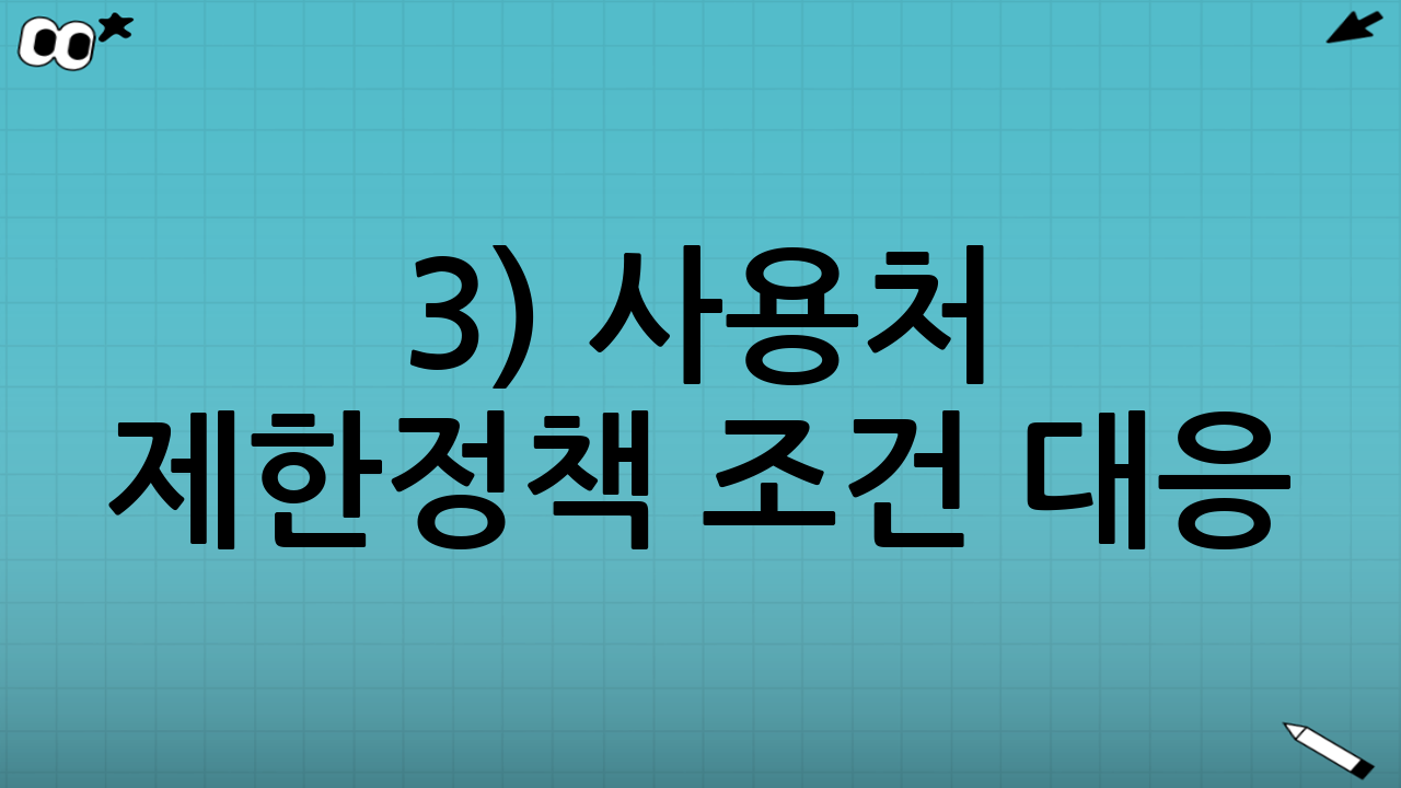 3) 사용처 제한·정책 조건 대응