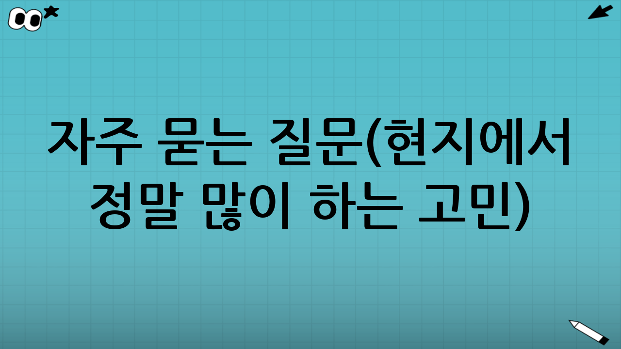 자주 묻는 질문(현지에서 정말 많이 하는 고민)