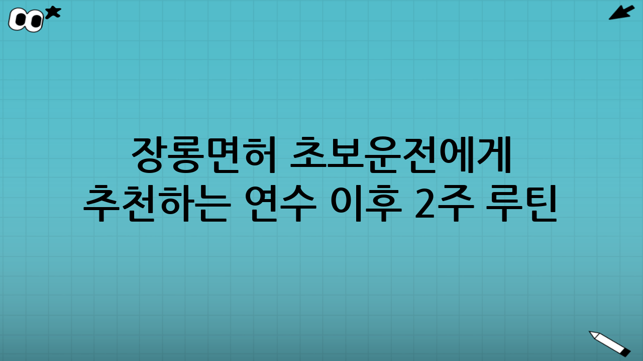 장롱면허 초보운전에게 추천하는 ‘연수 이후’ 2주 루틴
