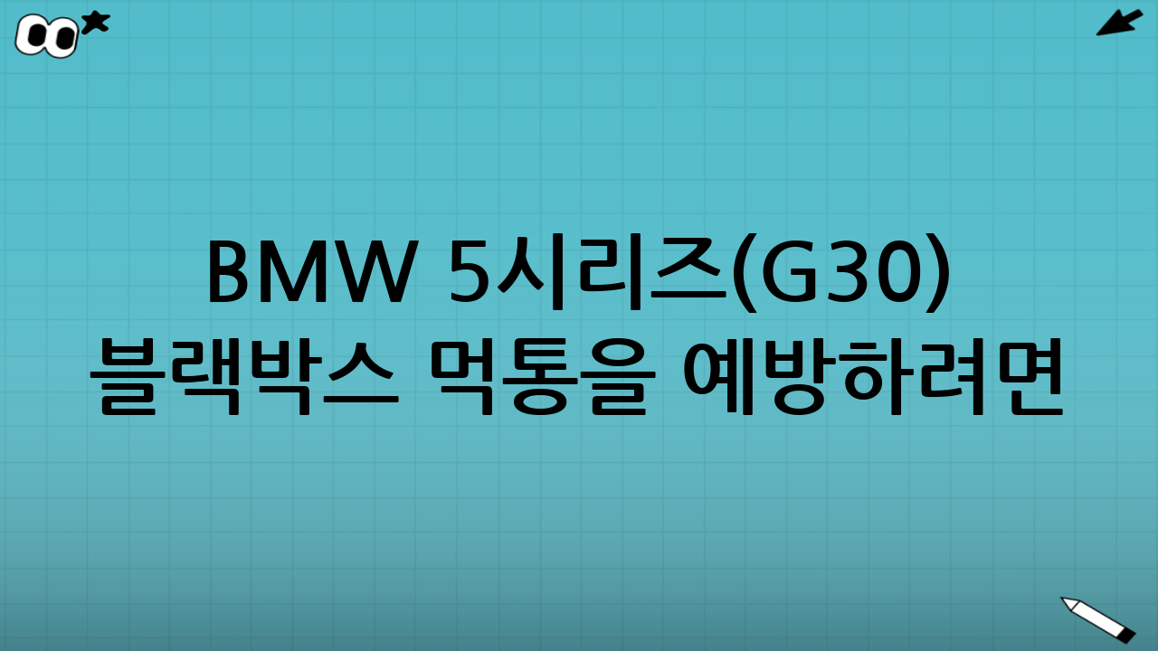 BMW 5시리즈(G30) 블랙박스 먹통을 예방하려면