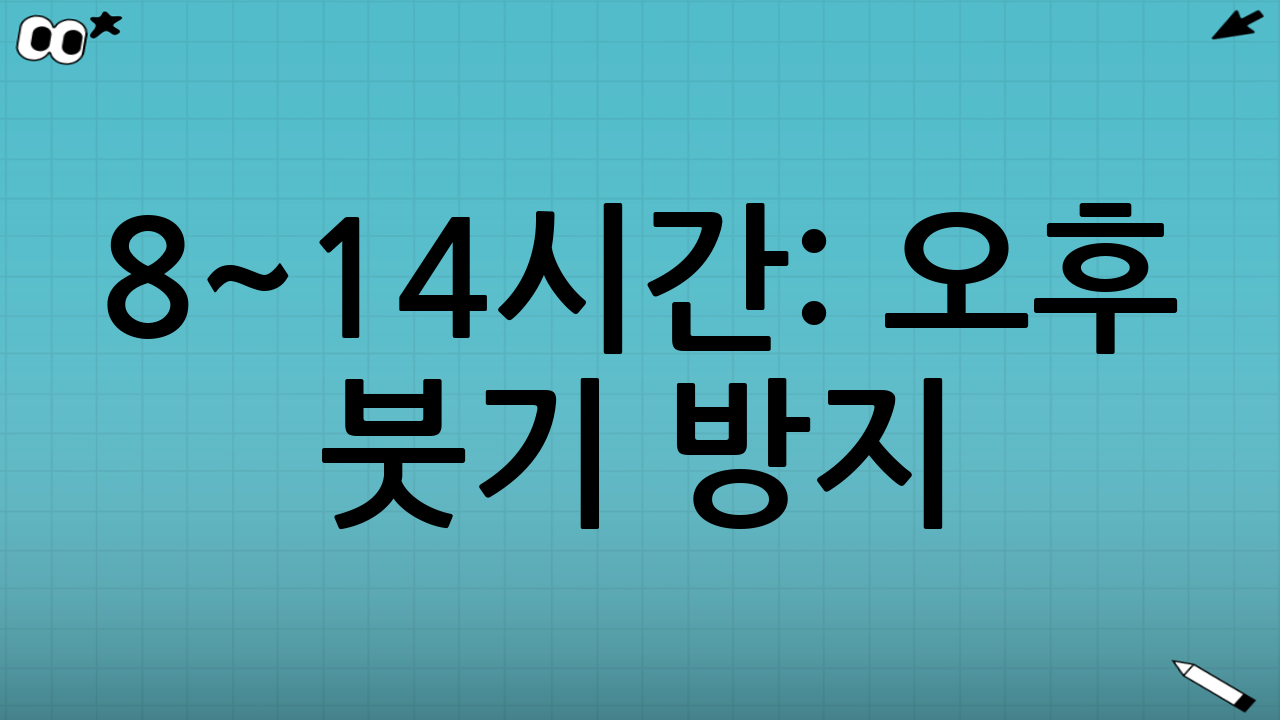 8~14시간: 오후 붓기 방지(간식과 자세가 핵심)