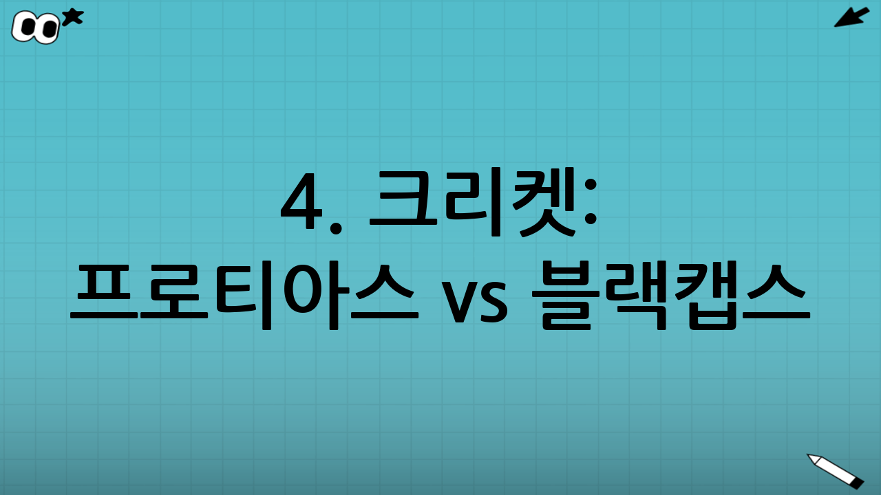 4. 크리켓: 프로티아스 vs 블랙캡스