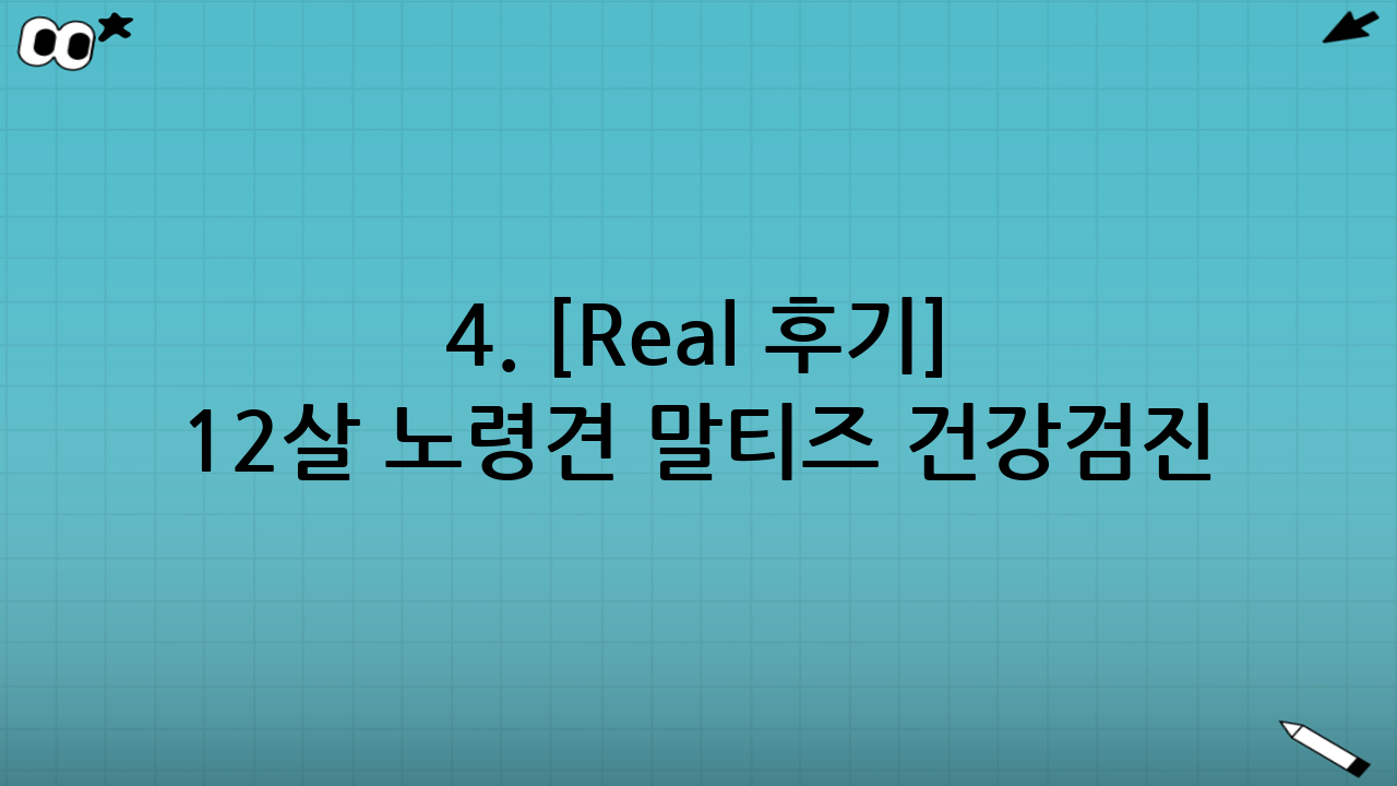 4. [Real 후기] 12살 노령견 말티즈 건강검진 이야기