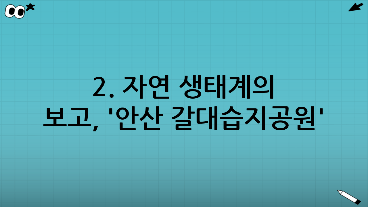 2. 자연 생태계의 보고, '안산 갈대습지공원'