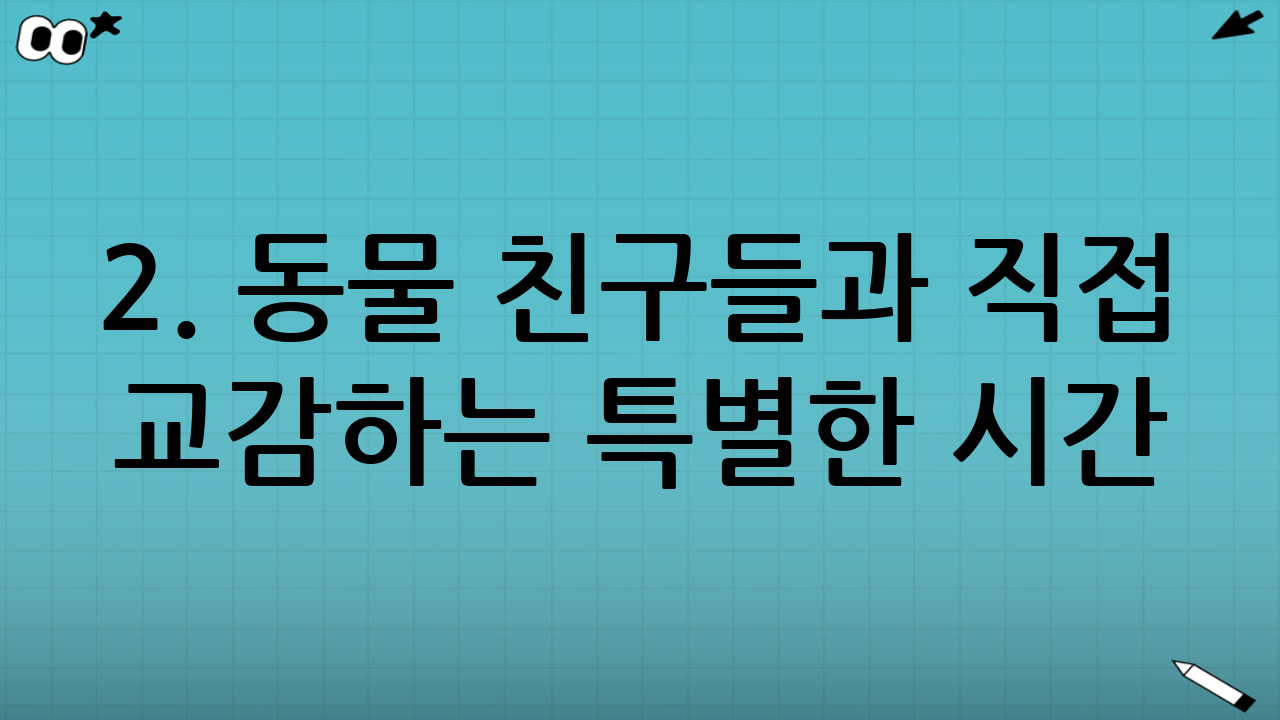 2. 동물 친구들과 직접 교감하는 특별한 시간