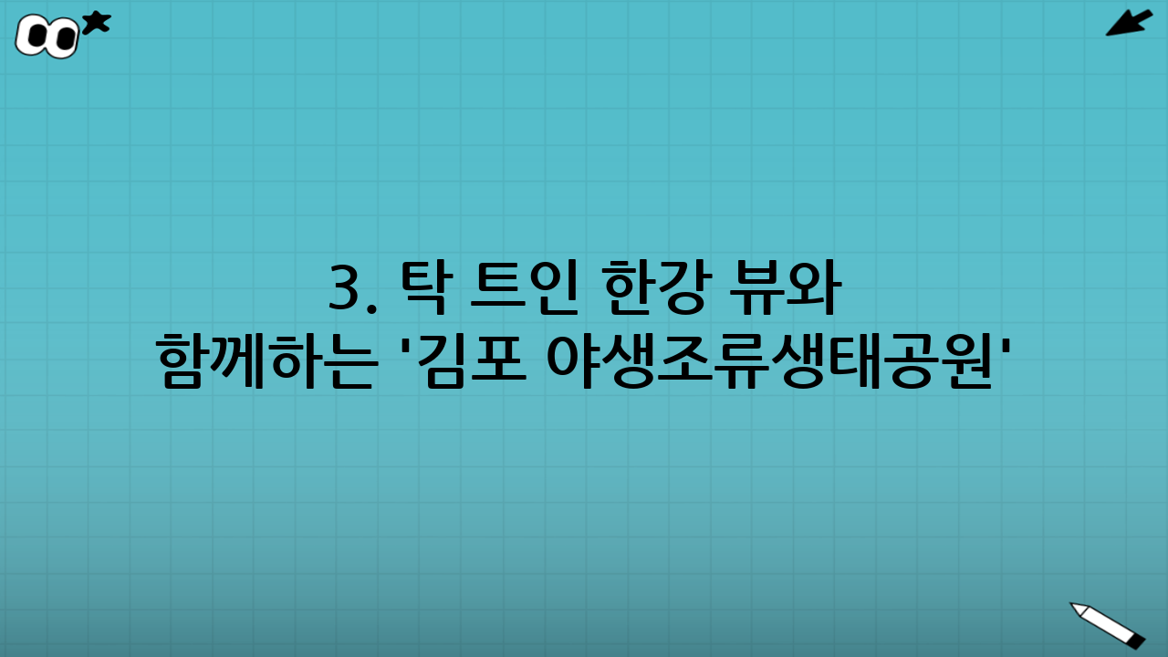 3. 탁 트인 한강 뷰와 함께하는 '김포 야생조류생태공원'