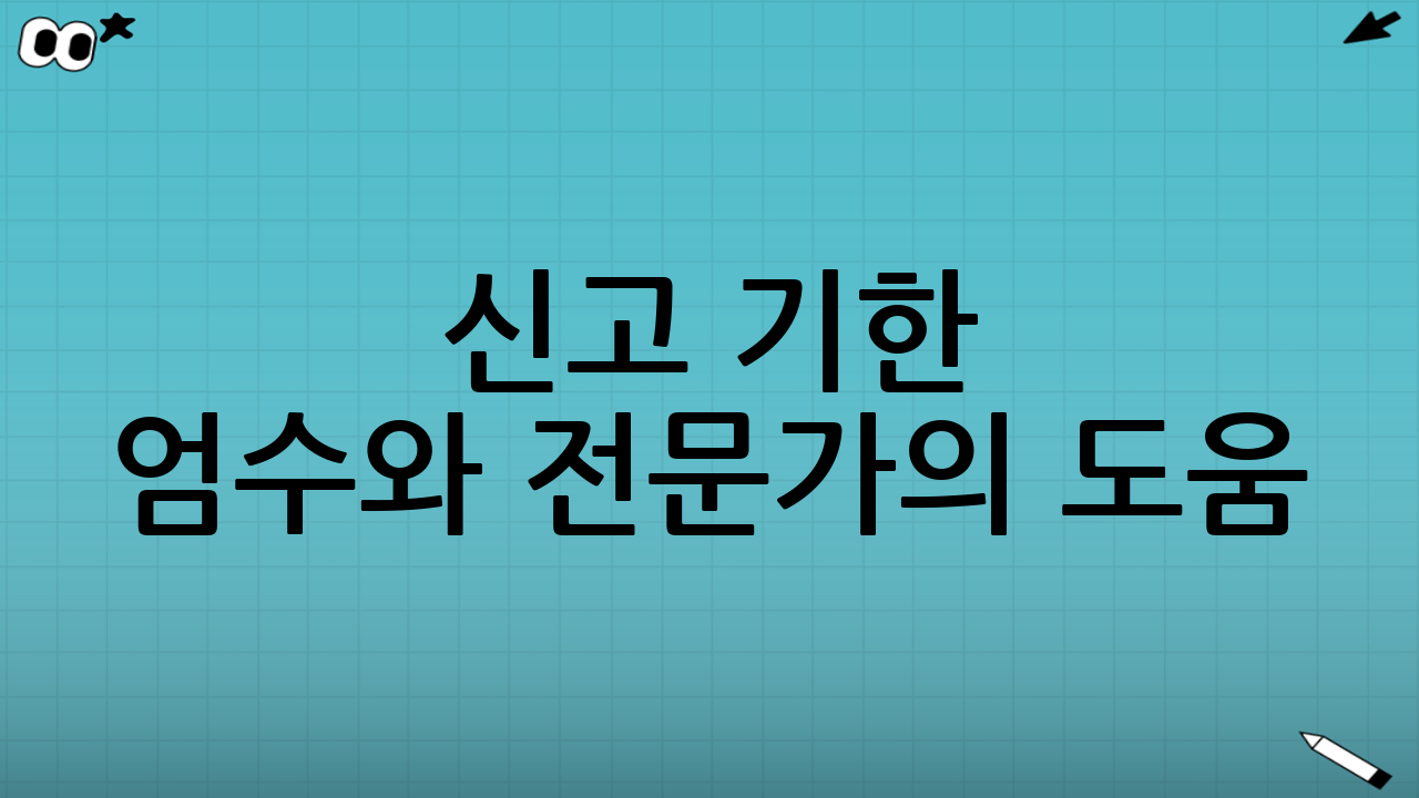 신고 기한 엄수와 전문가의 도움