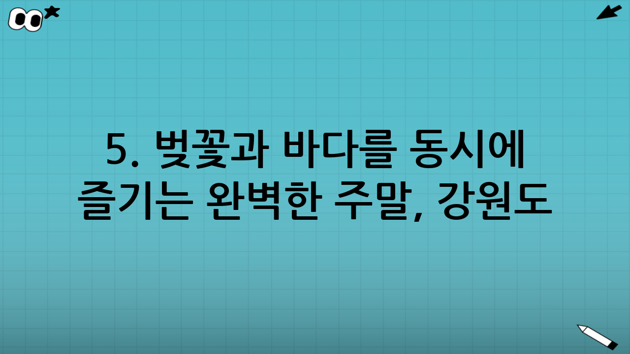 5. 벚꽃과 바다를 동시에 즐기는 완벽한 주말, 강원도 강릉 경포호수