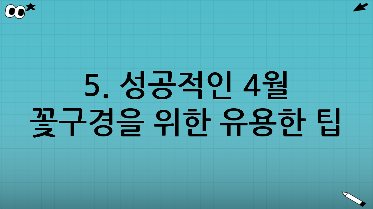 5. 성공적인 4월 꽃구경을 위한 유용한 팁