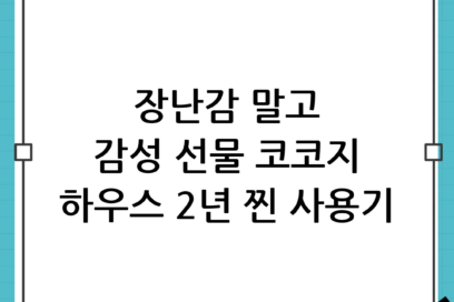 흔한 장난감 말고 감성 가득한 어린이날 선물! 코코지 하우스 2년 찐 사용기