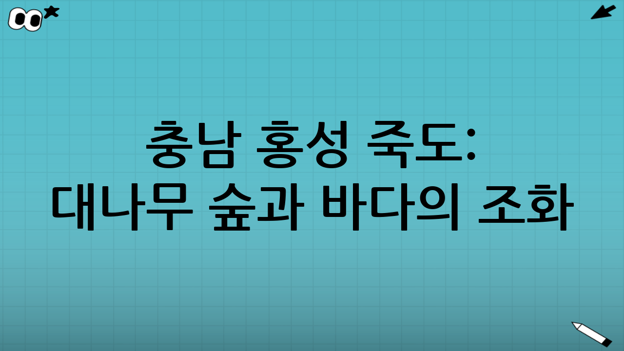 충남 홍성 죽도: 대나무 숲과 바다의 조화