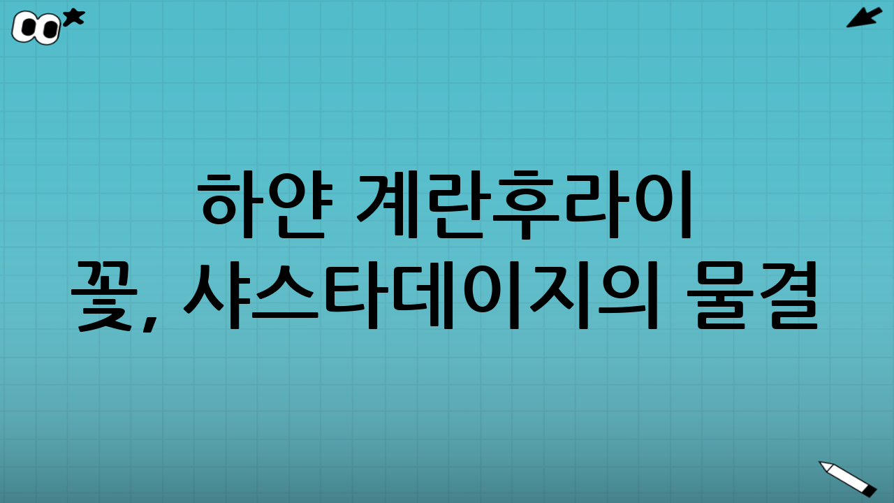 하얀 계란후라이 꽃, 샤스타데이지의 물결