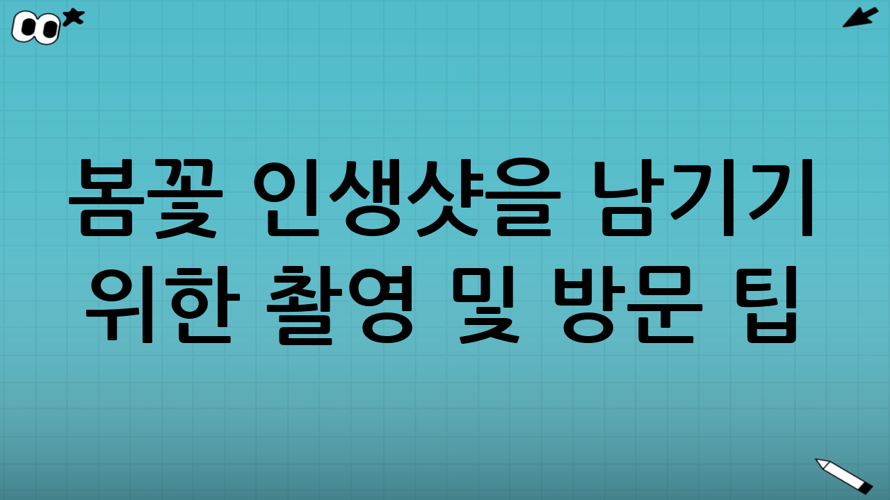 봄꽃 인생샷을 남기기 위한 촬영 및 방문 팁