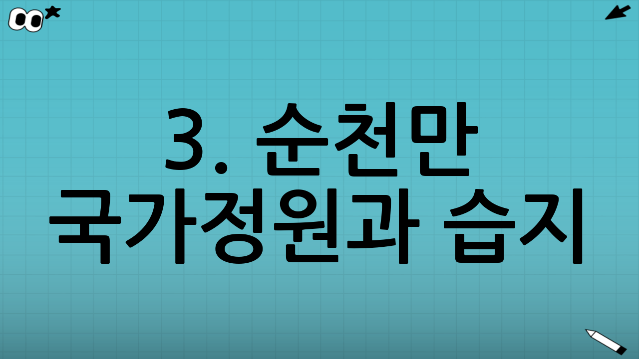 3. 순천만 국가정원과 습지: 자연과 인간의 조화
