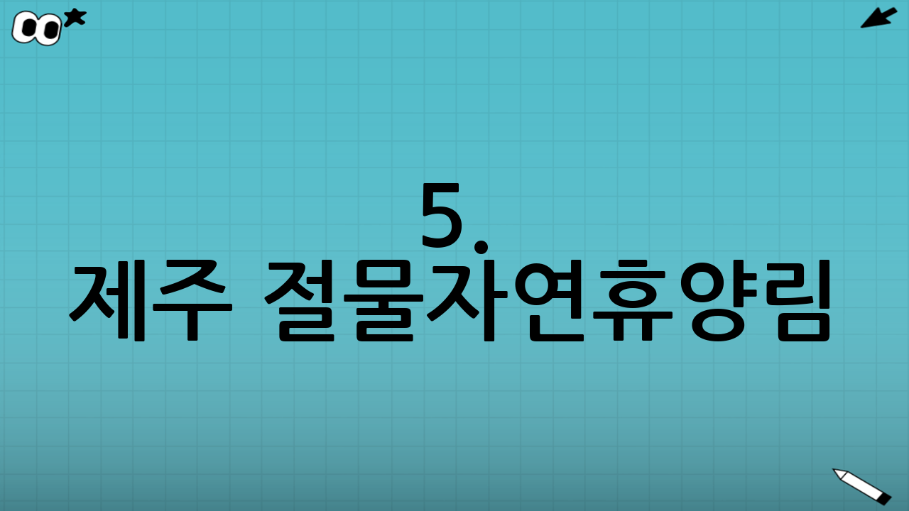 5. 제주 절물자연휴양림: 삼나무 숲 사이로 뻗은 평탄한 길