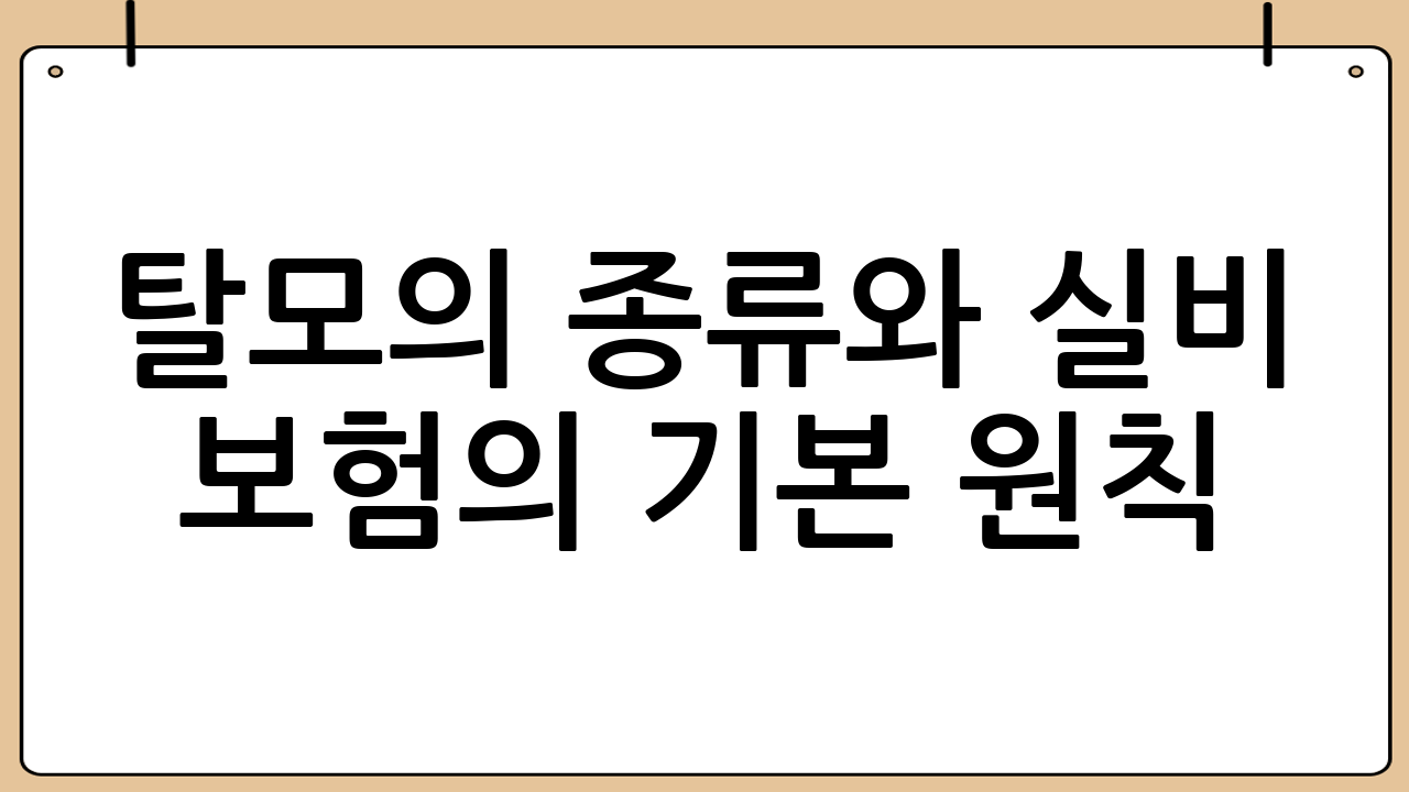 탈모의 종류와 실비 보험의 기본 원칙