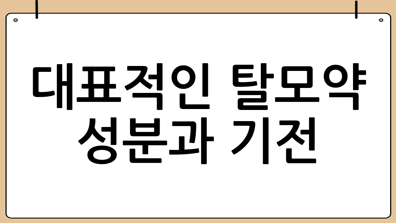 대표적인 탈모약 성분과 기전
