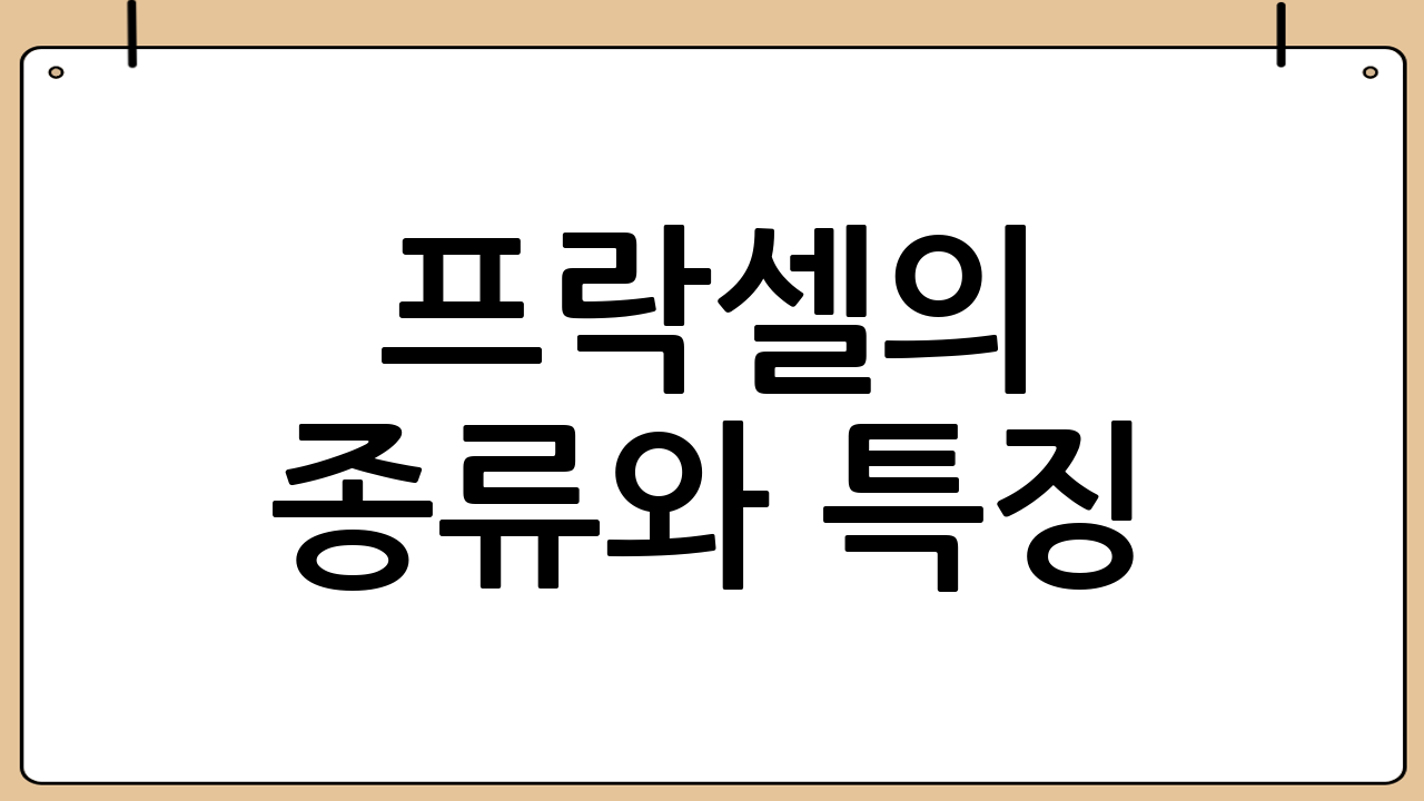 프락셀의 종류와 특징