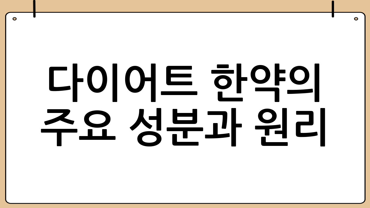 다이어트 한약의 주요 성분과 원리