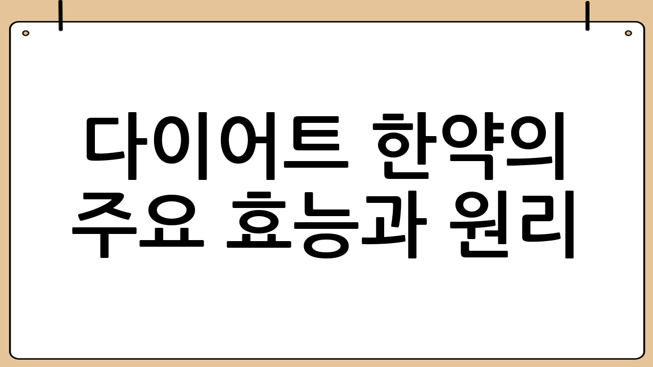 다이어트 한약의 주요 효능과 원리
