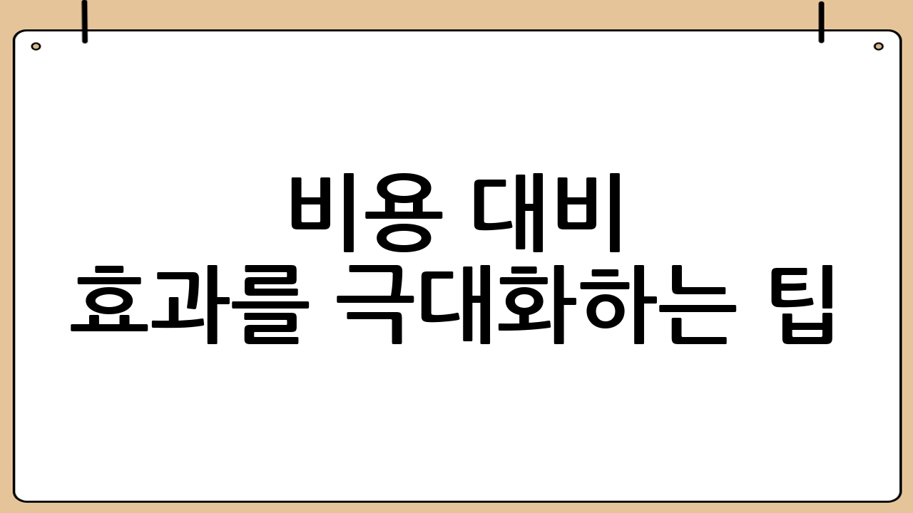 비용 대비 효과를 극대화하는 팁