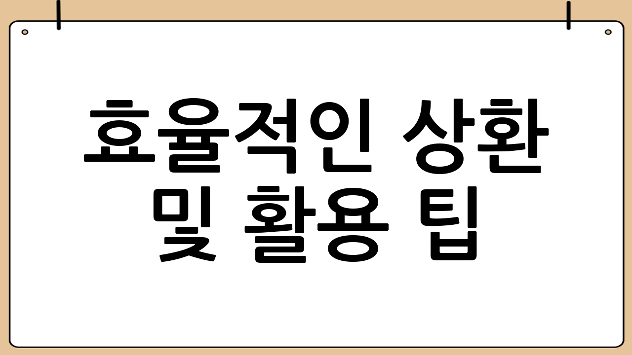 효율적인 상환 및 활용 팁
