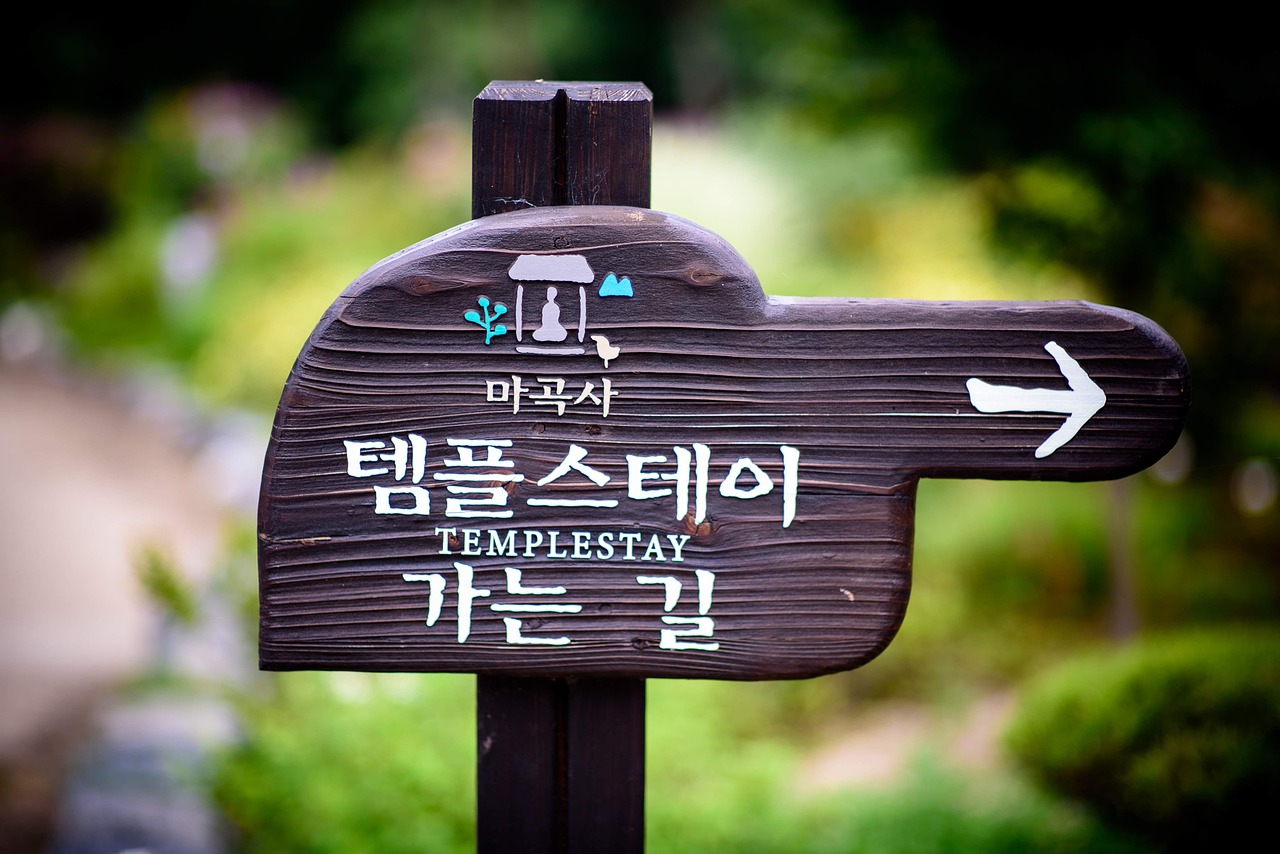 섹션 4 이미지