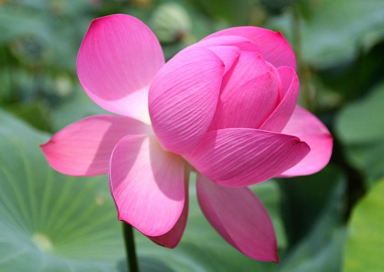 섹션 4 이미지