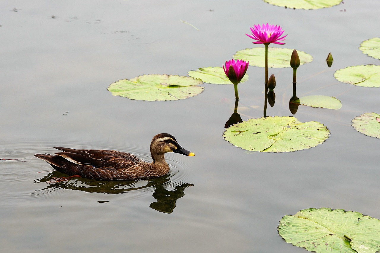 섹션 3 이미지