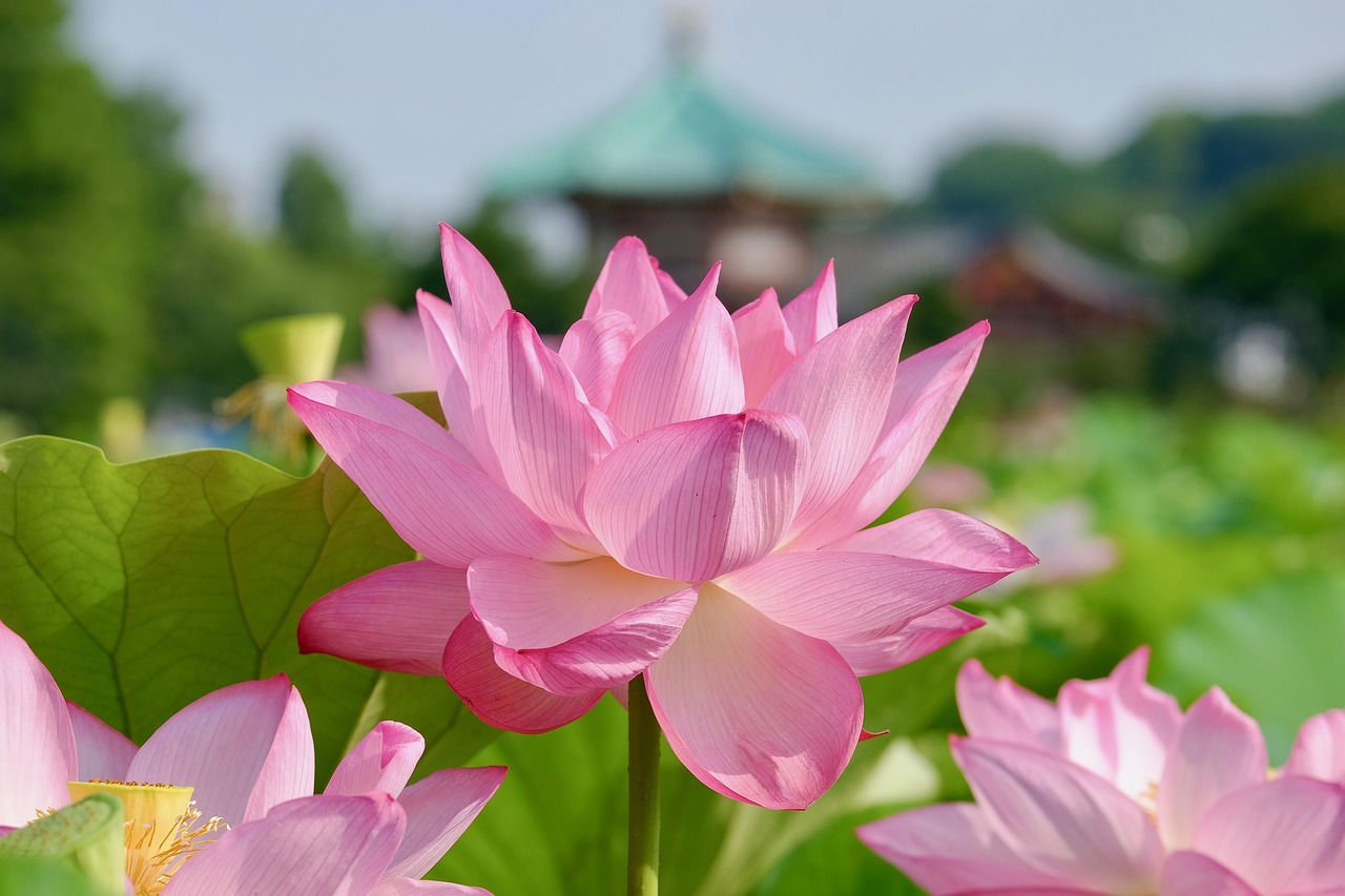 섹션 2 이미지