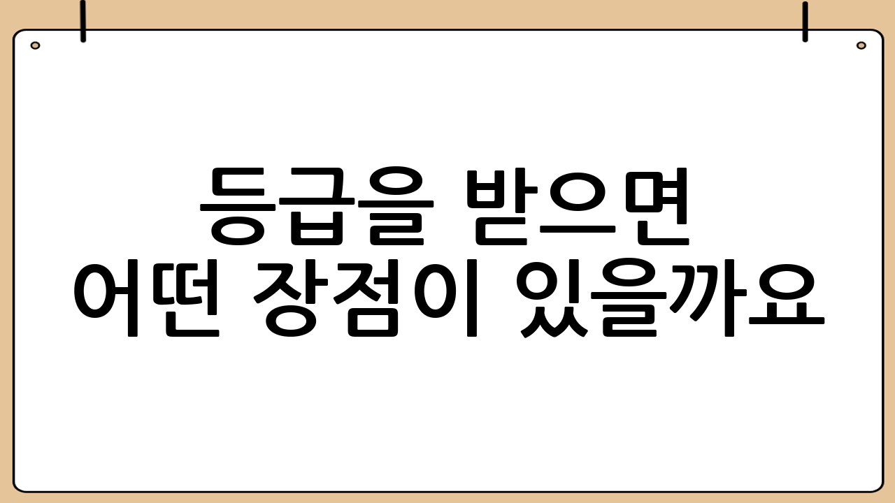 등급을 받으면 어떤 장점이 있을까요?