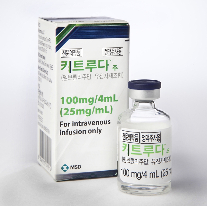 섹션 2 이미지