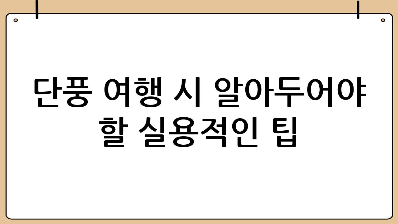 단풍 여행 시 알아두어야 할 실용적인 팁