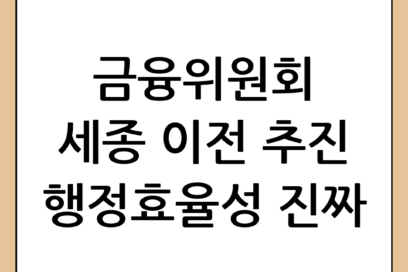 금융위원회 세종 이전 논의 현황과 행정효율성 제고 방안